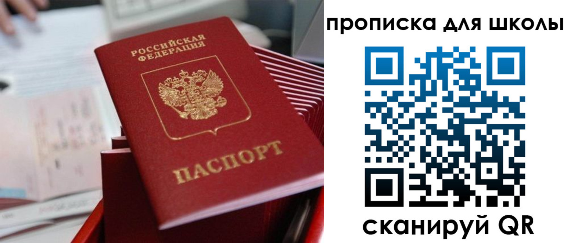 прописка для школы в Острове
